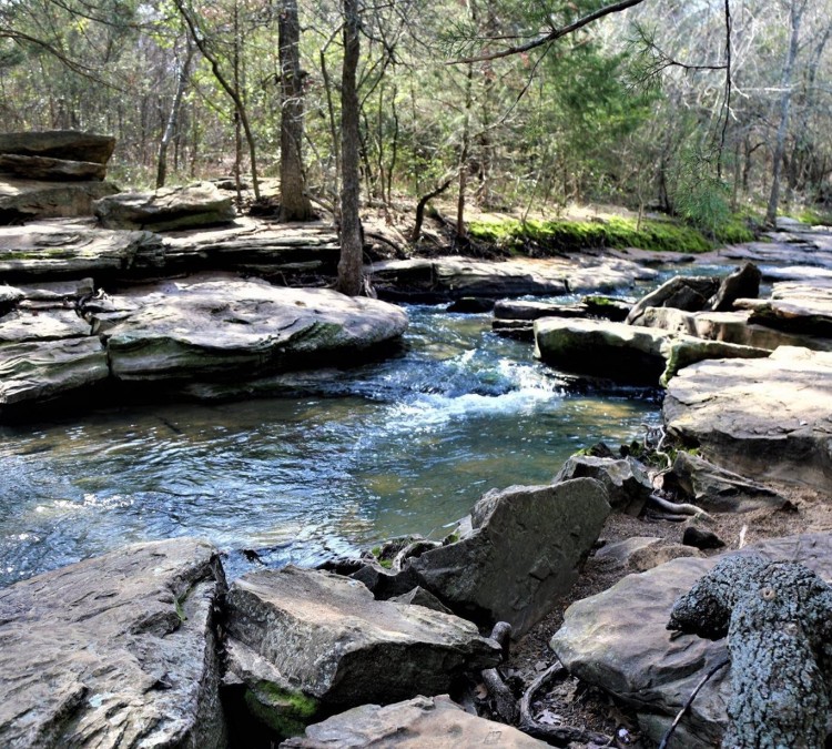 stone-creek-park-photo